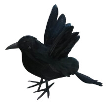 Décoration d'Halloween Corbeau noir réaliste (1 pièce)