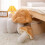 Mushroom Floor Pillow Khaki 32cm 5