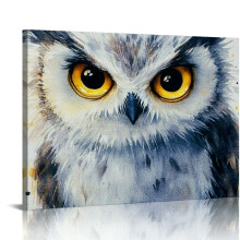 Cute Owl Wall Art - Woodland Animal Nursery Decor, Watercolor Owl Prints 16x12in, Compatible with Kids' Rooms