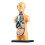 STEM Human Body Model Kit – Educational Display Tool, Compatible with Teaching AIDS Awareness 5