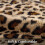 Μαξιλαροθήκες Cheetah 18x18 Σετ 2 τεμαχίων από τεχνητή γούνα 2
