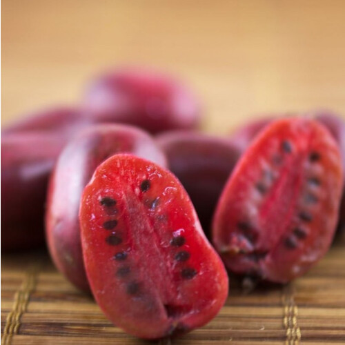Aktinidia Hardy Red ostrolistna żeńska 2L 2