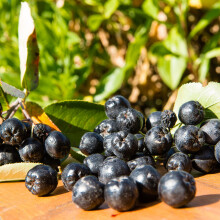 Aronia Viking 2L