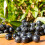 Aronia Viking 2L 1