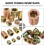 230Pcs Hexagonal Head T-Nuts for Woodworking Projects Threaded Inserts Assortment 2.5X1.2cm 8
