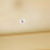 20Pcs Elegant White Plastic Fire Sprinkler Trim Rings for Home Ceiling 5