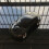 2.4Ghz 3D Car Shape Wireless Optical USB Mouse For PC Laptop Black 5