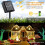 Varmhvite solcellelys 100 cm 100 LED 2-pakning 6