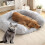 Sofá-canil para animais de estimação com isolamento térmico para clima frio, 90 x 50 cm (35,43 x 19,69 polegadas). 5