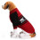 Ensemble pull pour chien Halloween – Motif crâne et os rouges 5