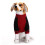 Ensemble pull pour chien Halloween – Motif crâne et os rouges 2