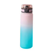 Lekvrije, geïsoleerde waterfles van 650 ml met rietje, lekvrij, BPA- en gifvrij, fitness- en sportwaterfles voor kantoor, sportschool en