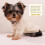 Dog Sweater Fleece Warm Soft Beige Small 2