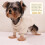 Dog Sweater Fleece Warm Soft Beige Small 3