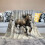 Manta de flanela Pratyus Horses Snow Wilderness 60x80 polegadas 2