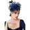 Κομψό καπέλο Fascinator με διακοσμητικά από ψεύτικο φτερό και πλέγμα, μαύρο 5