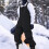 Men's Waterproof Insulated Snow Bibs Windproof 1 pair 5