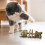 Purrident Cat Dental Chews Natural Fishbone Shape with 7
