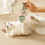 Purrident Cat Dental Chews Natural Fishbone Shape with 6