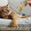 Purrident Cat Dental Chews Natural Fishbone Shape with 2