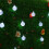 Guirnalda de luces LED solares con bolas de cristal de 6,5 m 4