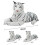 Peluche Tigre – Douce et câline 5
