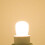 E14 LED Candle Bulb, Warm or Cool White, Glass 3