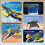 Épée volante télécommandée – Mode contrôle manuel/manipulation par télécommande, planeur RC 3 vitesses, épée volante acrobatique 4