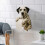 Hundeformet toiletpapirholder i harpiks, vægmontering 3