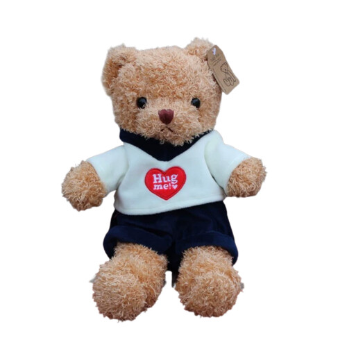 Valentine's Day Teddy Bear Cuddly Toy 1 Pack 1