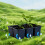 (M, Black) Hydroponic Plant Watering Mat Automatic Irrigation Pad with Capillary Action for Plants Efficient Watering Solution 3