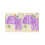 (6-12 Months, Purple) Σετ παντελονιών για αθλητικές δραστηριότητες. 4