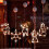 LED Christmas Window Lights with Suction Cup – Battery 2