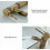 Bamboo-Shaped Basin Mixer with Brushed Brass Finish 5