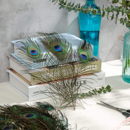 Pacote com 100 penas de pavão naturais, 40-45 cm (16-18 polegadas), para artesanato, casamentos e decoração. 2