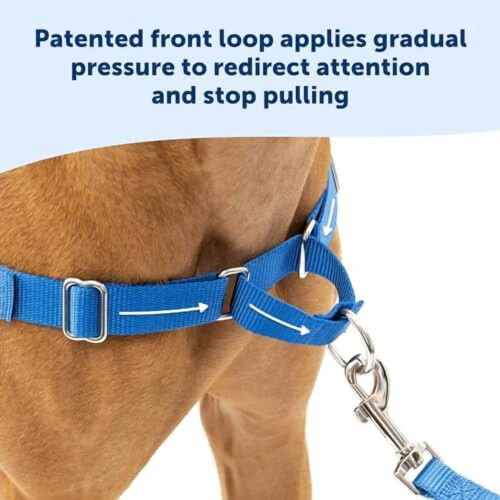 Ζώνη σκύλων Easy Walk No Pull – Συμβατή με μικρά σκυλιά, βατόμουρο/γκρι 1