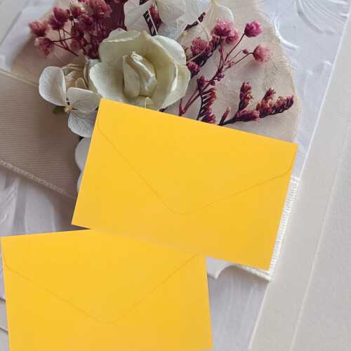 100 Pcs Bubble Envelopes Birthday Invited Rose Father 2