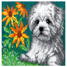 Haakpakketten, Haakpakket voor hondenkleedjes voor volwassenen en kinderen, Schattige puppy's honden haakpakket voor beginners