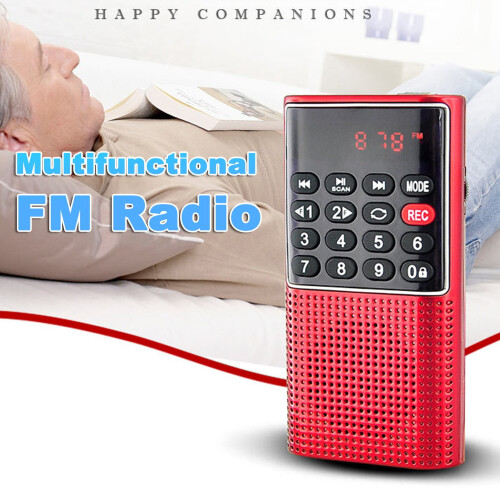 L328FM Multifunctionele Draagbare Oplaadbare USB TF MP3 Handluidspreker voor Buiten 2