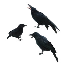 Décorations réalistes de corbeaux noirs (lot de 3) – Corbeaux à plumes pour Halloween et Noël, pour l'intérieur et l'extérieur