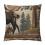 Housses de coussin carrées marron rétro – Peluche courte, 2 1