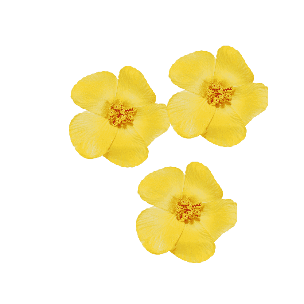 Flower Hair Clips Eco-Friendly EVA 3 pcs