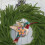 Kolibri-Acryl-Hängeornament, 8 cm 7