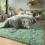 Sage Green Fluffy Rug 4x6 Ft Machine Washable Non-Slip 3