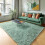 Sage Green Fluffy Rug 4x6 Ft Machine Washable Non-Slip 8