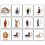 Set presepe in resina dipinto a mano, composto da 11 pezzi. 3