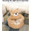 Κρεβάτι σκύλου Teddy Bear με μπράτσα, Κρεβάτι σκύλου Teddy Bear, Χαριτωμένο μαλακό ζεστό 4