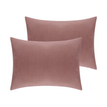 Paquete de 2 fundas de almohada de terciopelo, fundas de almohada de franela suave con cierre tipo sobre, color gris claro, tamaño Queen (20"x30")