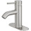 Bathroom Faucet Brushed Nickel Single-Handle One-Hole 1