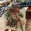 Chemin de table Pommes de pin d'hiver 13 x 108 pouces 5